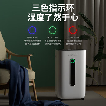 荣事达（Royalstar）家用除湿机20L/天20-40㎡适用回南天首选负离子群空气净化RSD-FD5250