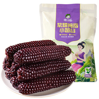 西双版纳手指甜香糯小玉米特产新鲜儿童即食早餐500g老品种黑紫糯玉米