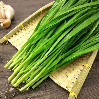 皓谦 山东头茬鲜嫩韭菜农家自种新鲜蔬菜现割现发大韭菜净菜 韭菜 5斤