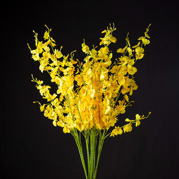 花艺 跳舞兰10枝装