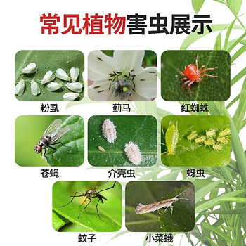 地依猫花卉杀虫剂喷雾植物土壤月季花草红蜘蛛小飞虫蚧壳虫1000ml