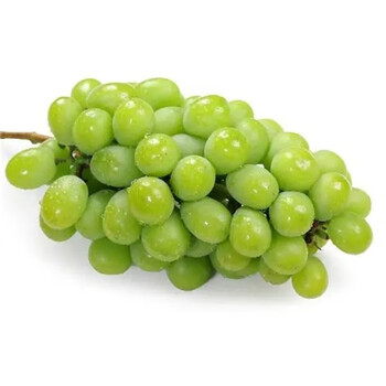 澳洲进口秋天脆青提 无核脆甜香提子当季新鲜孕妇水果无籽青提 3斤装 