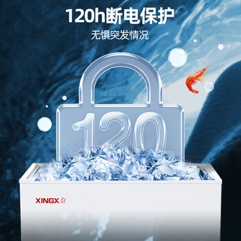 星星(XINGX) 219升小型冰柜家用 冷藏冷冻转换冷柜 大容量单温单箱低霜 顶开门冰箱 BD/BC-219E 星星(XINGX) 219升小型冰柜家用 冷藏冷冻转换冷柜 大容量单温单箱低霜 顶开门冰箱 BD/BC-219E