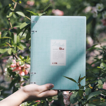 国誉木野梦境系列四孔活页本大容量可换内页 B5/40页横线 雪松蓝 1本 WSG-RUNP81LB