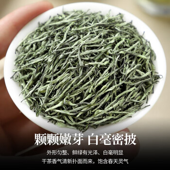 陈一凡毛尖茶250g 特级浓香型春茶明前炒青绿茶茶叶袋装