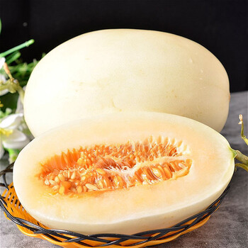 现摘台州东方蜜一号甜瓜5斤新鲜当季应季时令优质精品水果脆香瓜东方