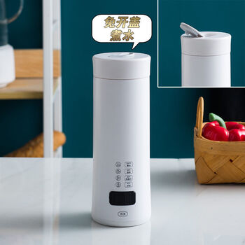 惠朗欧(whelano) 加热水杯便携充电 电热水杯迷你烧水杯电热杯多功能