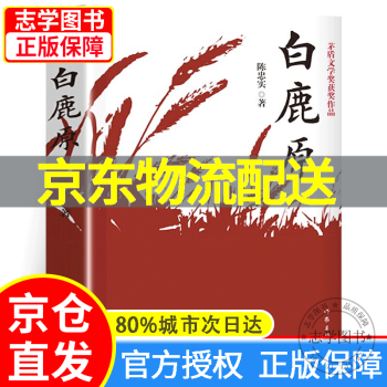 上品な 60冊 中国小説 文学 文学/小説 - provilan.com