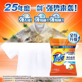 汰渍 洗衣粉 净白去渍(柠檬清新型)2.55Kg*2袋 10.2斤大袋深层去污