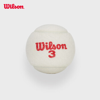 Wilson威尔胜2025蛇年限定网球 红色罐装2只装WR8216401001