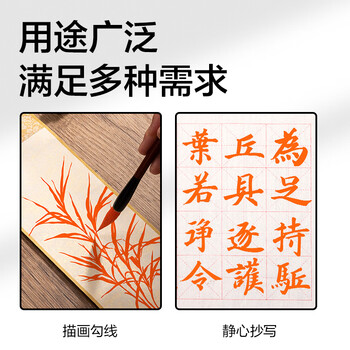 得力（deli）朱墨书法专用小瓶书画写字练习批改用红色墨水纯正红墨汁小楷毛笔练字正宗朱液墨汁 100g开学文具