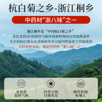 同仁堂（TRT）胎菊桐乡头茬含苞特级无熏硫菊花泡茶100g/罐