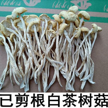 茶树菇白品牌及商品- 京东