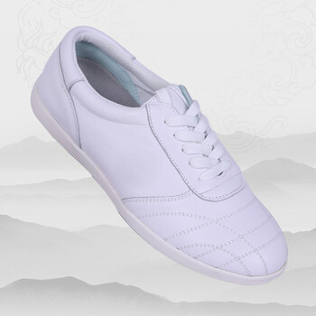 春秋冬季新款太极鞋男女牛筋底功夫鞋软太极练功鞋 全白色无烙印-单鞋