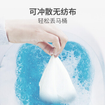 京东京造X京东PLUS会员联名 湿厕纸80抽*8包 加厚厕纸 清洁湿巾湿纸巾 京东京造X京东PLUS会员联名 湿厕纸80抽*8包 加厚厕纸 清洁湿巾湿纸巾