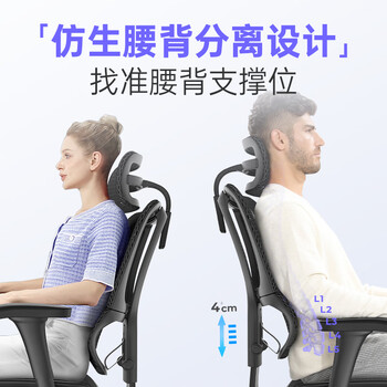 Ergonor保友优b2代 人体工学椅电脑椅办公椅护腰电竞椅 黑色网