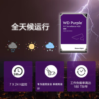 西部数据 监控级硬盘 WD Purple 西数紫盘 2TB CMR垂直 64MB SATA (WD23PURZ)