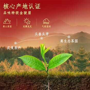 忆江南特级金骏眉茶叶礼盒260g红茶端午节父亲节送礼送父母长辈礼物福至