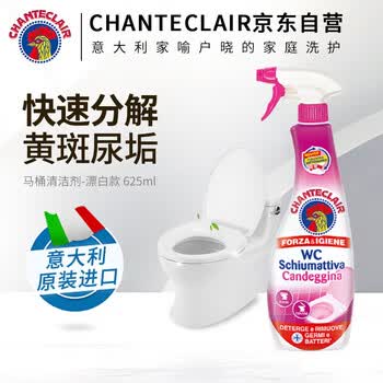 CHANTECLAIR大公鸡管家（HWM）马桶清洁剂洁厕液洁厕灵去黄除臭 625ml 随机发