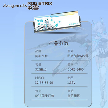 阿斯加特（Asgard）64GB(32GBx2)套 DDR5 6400 台式机内存 RGB灯条-吹雪联名款【CL32】 适配黑神话悟空