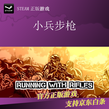 pc中文正版steam平台游戏小兵步枪太平洋战争雪绒花标准版简体中文