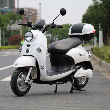 TULX新款雅迪车型小龟王电动车72V长跑成人60V电瓶车爬坡长跑王电摩 珍珠白 60V20ah电池【图片 价格 品牌 报价】-京东
