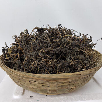 马齿苋干新鲜晾晒食用马齿菜干农家自制野生野菜干天然野菜 500克 1斤