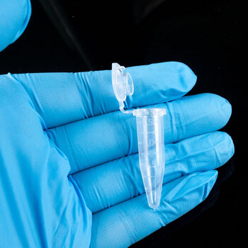 海斯迪克 HK-148 塑料离心管 带刻度EP管种子瓶  1.5ML连盖（500个/包）