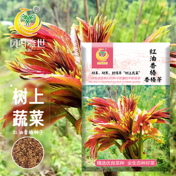 红油香椿品牌及商品- 京东