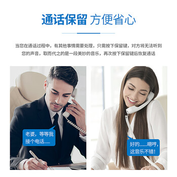 步步高（BBK）电话机座机 固定电话 办公家用 免电池 清晰通话 HCD213睿智黑