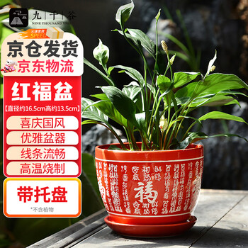 红色花盆陶瓷价格报价行情- 京东