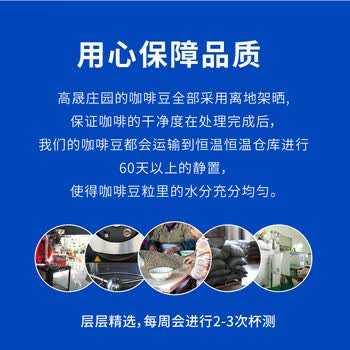 高晟庄园 GAOSHENG MANOR莫扎特甄选精品咖啡豆手冲美式单品莫扎特 227g