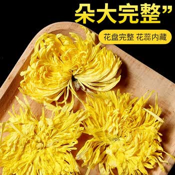 华简【100朵大包装】金丝皇菊花茶安徽黄山独立包装可搭陈皮金银花