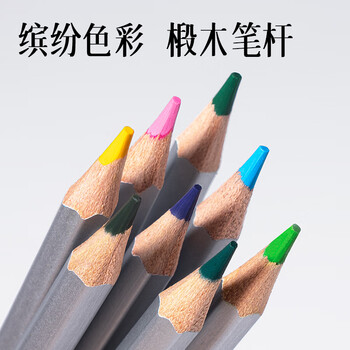 得力(deli)大师彩铅铁盒24色附毛笔水溶性彩色铅笔学生专业手绘涂色绘画笔套装6521女孩儿童礼物彩笔