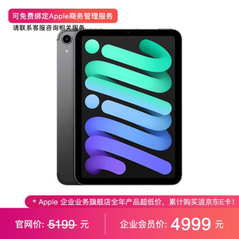 ipad mini Cellular版价格报价行情- 京东