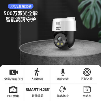 dahua大华500万POE供电室外摄像头防水夜视360旋转语音对讲全彩智能云台球机SD2A500-ADP-PV-i 不含电源