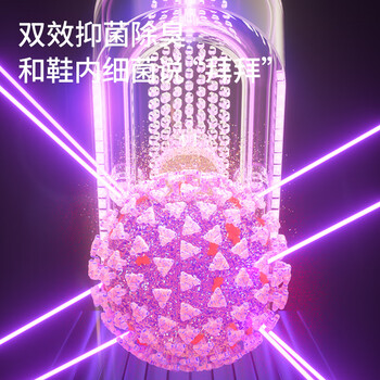 志高（CHIGO）烘鞋器干鞋器暖鞋器 家用紫光除臭烘鞋神器鞋子烘干器烤鞋器烘鞋机可伸缩折叠XJ-005