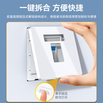 胜为 网线插座面板 86型兼容超五类/六/七类网口/电话信息模块 (单口网络面板不含模块)CSIP301H 胜为 网线插座面板 86型兼容超五类/六/七类网口/电话信息模块 (单口网络面板不含模块)CSIP301H