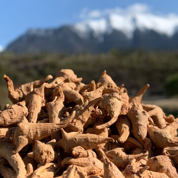 西藏野生人参藏小三七 三七良心田七三七粉 250g