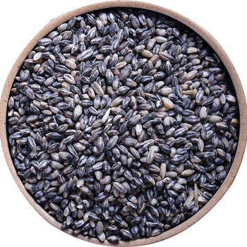 黑青稞米/高原黑青稞谷物粮/黑青稞仁甜醅原料 1斤5斤 黑青稞1斤【图