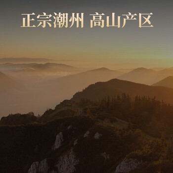 传奇会乌龙茶 凤凰单枞鸭屎香特级250g 罐装乌岽单丛茶叶自己喝送礼 传奇会乌龙茶 凤凰单枞鸭屎香特级250g 罐装乌岽单丛茶叶自己喝送礼