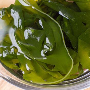 海带裙带菜新鲜盐渍裙带减脂海白菜海木耳海带芽火锅食材批发 味滋源