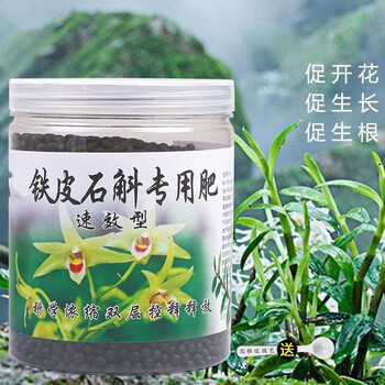 石斛专用肥料铁皮石斛肥料霍山石斛种植苗专用肥石斛苗营养液盆栽室内