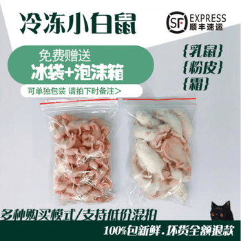 冷冻小白鼠 乳鼠 红皮 粉皮 霜 蛇 乌龟 蜥蜴 饲料新到大白乳鼠 5 7g 霜同价 图片价格品牌报价 京东