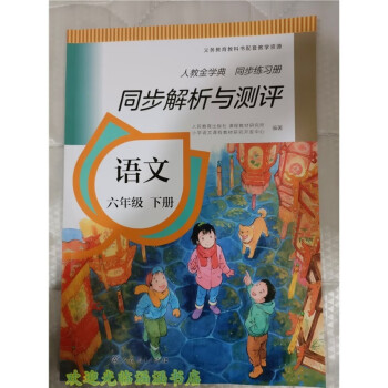 人教版金学典小学同步解析与测评小学语文六6年级下册同步练习册六