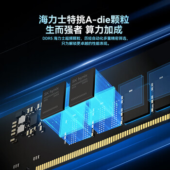 佰维（BIWIN）32G(16G×2)套装 DDR5 6000频率台式机内存条 时空行者DW100 RGB灯条(C28)白色AI PC电脑存储配件