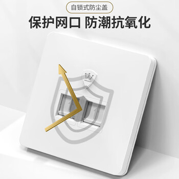 万级 六类网络面板 千兆免打网线插座二位双口 86型网络+电视家装宽带墙壁装修面板 1-14946白