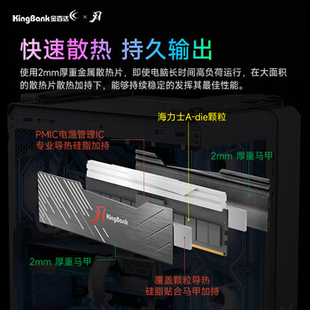金百达（KINGBANK）32GB(16GBX2)套装 DDR5 6000 台式机内存条海力士A-die颗粒 黑刃RGB灯条 C28 Deepseek硬件