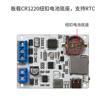 丢石头 RS485串口记录仪 串口数据记录存储器 RS485转TF卡 RTC时间戳 TXT文件存储