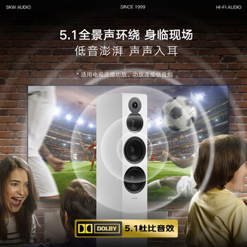 SKW 发烧级同轴线 RCA莲花头公音频线 6N单晶铜双层屏蔽 SPDIF电视CD功放回音壁低音炮线 BG01-3米